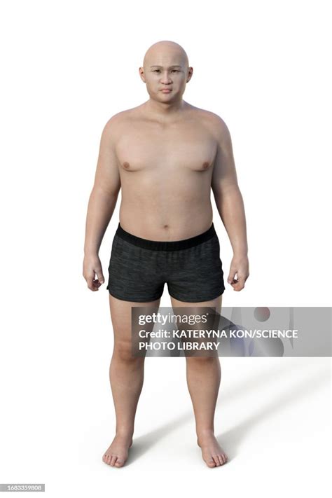 male endomorph body type illustration high res vector graphic getty