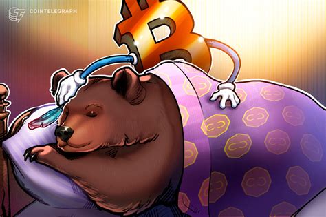 blockchain capital exec bear markets  bear   btc