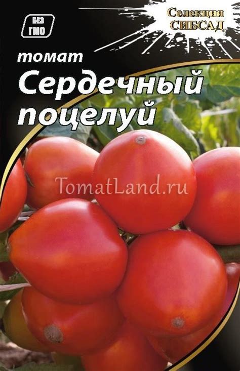 Томат Сердечный поцелуй: описание сорта, ОТЗЫВЫ, фото | tomatland.ru