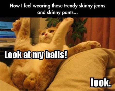 funny pictures   day  pics