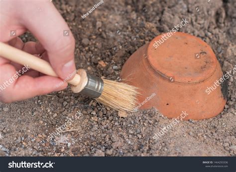 Archaeological Brush