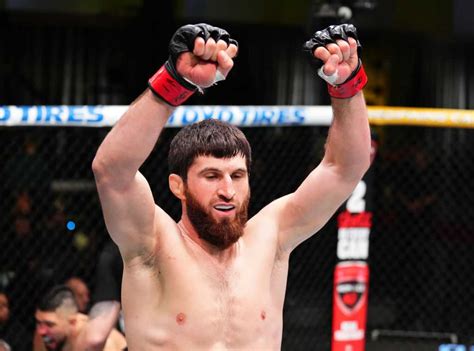 Анкалаев – Перейре: «Даже букмекеры не верят в тебя» – RingSide24