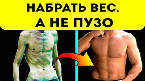 Как потолстеть: как набрать вес, а не пузо/ Правильное питание, диета ...