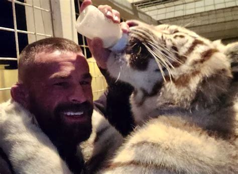 Police investigate MMA fighter over illegally kept tigress