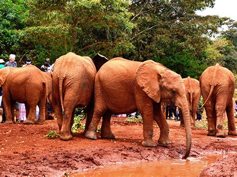 kenya attractions wondering wanderer