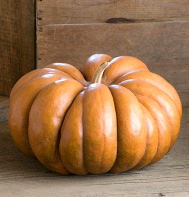 Тыква Мускат Де Прованс | Heirloom seeds, Pumpkin, Garden seeds