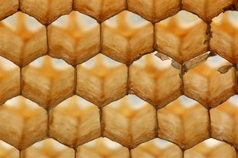 geometric shapes  nature