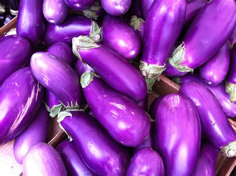 The Crabby Cook – Jessica Harper | Eggplants Or Aliens?