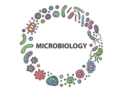 Microbiology logo by Vasilinka on Dribbble