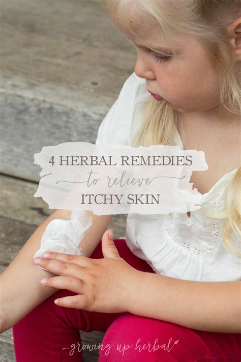 4 Herbal Remedies To Relieve Itchy Skin - GrowingUpHerbal