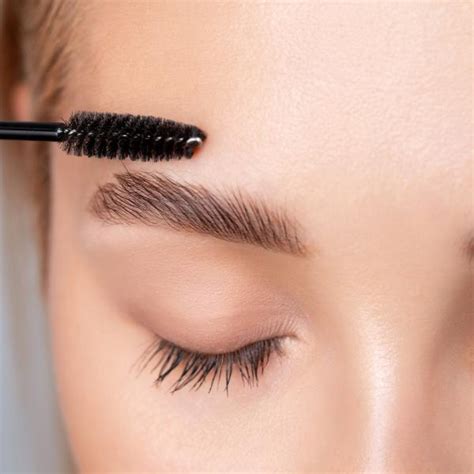 ¿Cuál es el fijador de cejas?