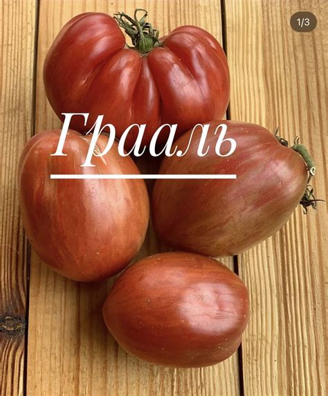 ГРААЛЬ | Томатная Коллекция - Редкие и эксклюзивные семена томатов