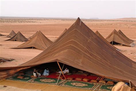 Bedouin tents in the Sahara : r/interestingasfuck