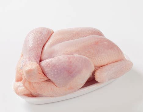 raw chicken stock photo  image  animal body part animal