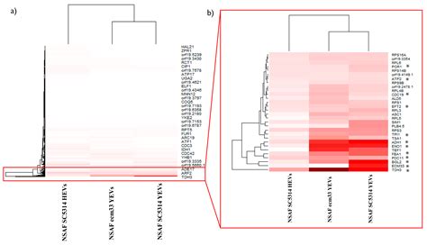 From High Protection to Lethal Effect: Diverse Outcomes of Immunization
