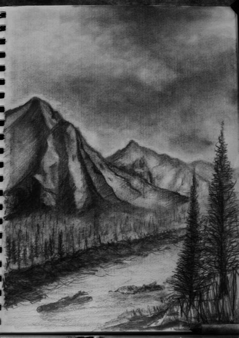 drawing of jungle 3