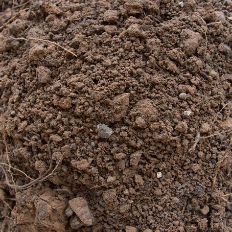 Download "Connect with Nature: Take a Trek Through Serene Dirt Pathways ...