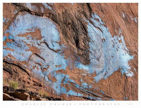Blue Desert Varnish and Shrubs, Grand Staircase-Escalante, Utah