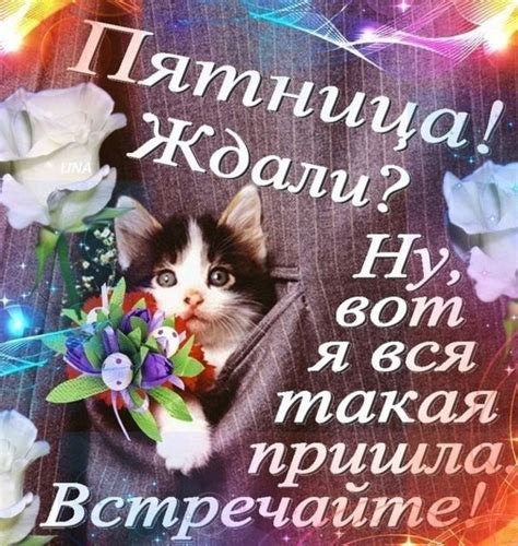 Поздравления с пятницей (30 картинок) ⚡ Фаник.ру