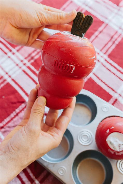 Professional tips for dog and Kong stuffing to keep pets busy 5