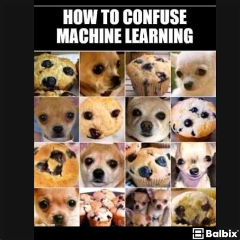 Are Machine Learning Memes Lying to You?: A Mathematica Investigation ...
