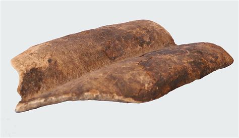 ngoi bao tang lam dong