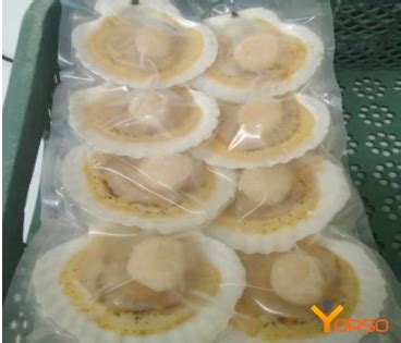 Гребешок на полустворке, вакуумная упаковка