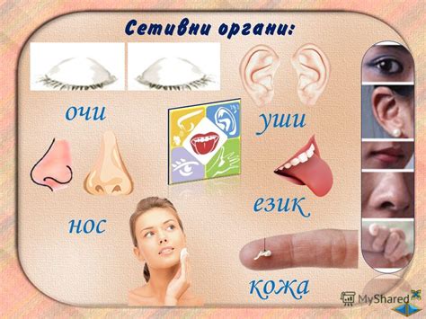 Презентация на тему: "Мога да рисувам вече малко весело човече ...