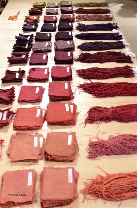 Natural dyes on salt spring day 2 – Artofit
