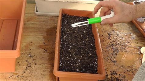 Diy Garden Seeder | Fasci Garden