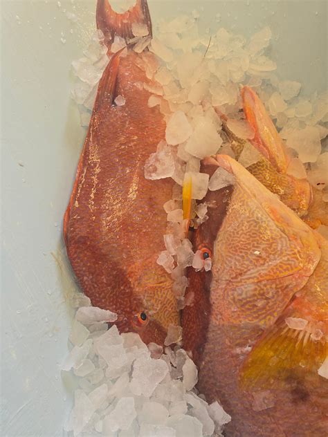 Fish Peddler Holden Beach | Holden Beach NC