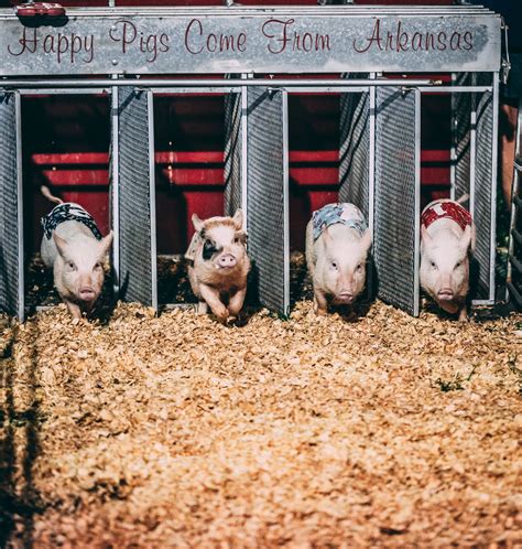 Orlando Warehouse | Orlando FL