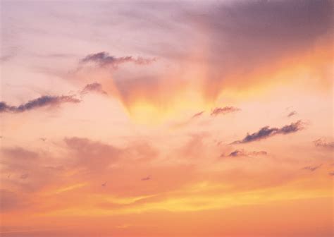 landscape sunset yellow pink sky  image