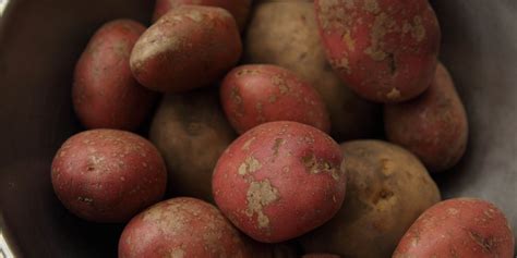 potato recipes great british chefs
