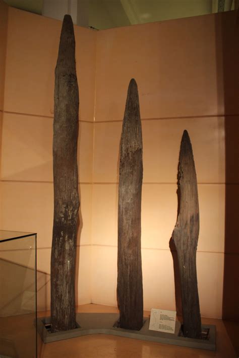Wood Stakes Used to Impale Mongol Junks at Naval Battle of Bach Dang