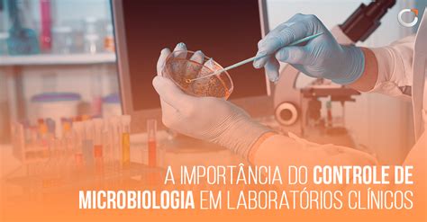 Qual A Importância Da Microbiologia - Qual A Importancia Do Microscopio Para A Microbiologia - FDPLEARN