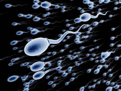 Infertile men 'could grow new sperm from skin cells' | The Independent