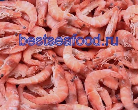 Купить Креветка королевская 50/70 5кг. – в Москве и обл, оптом