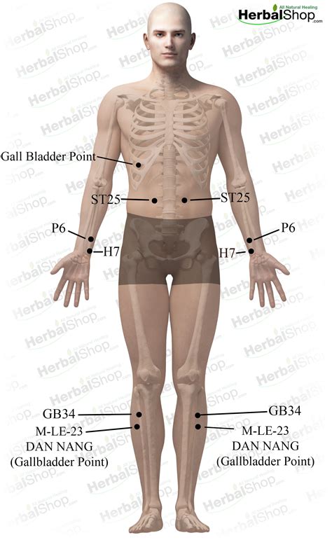 Male Gallbladder Location