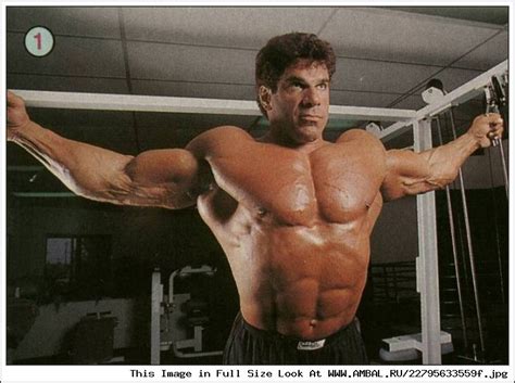 Лу Ферриньо (Lou Ferrigno), фотографии, биография, соревнования ...