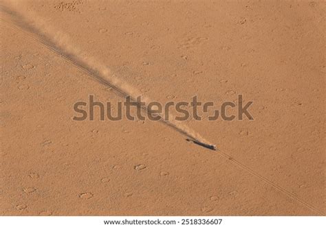 people dust  images pictures shutterstock