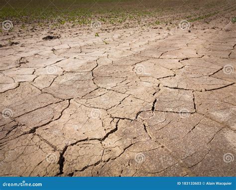 arid agricultural land stock image image  nature
