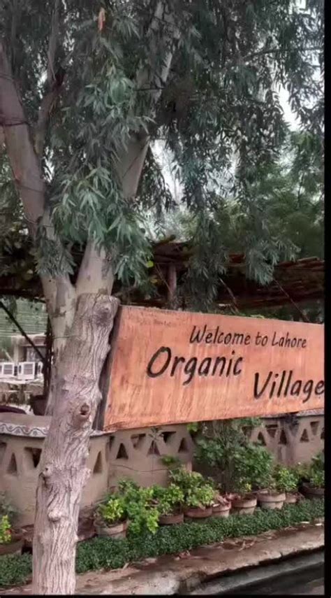 Lahore Organic Village (@lahoreorganic.village) • Instagram photos and