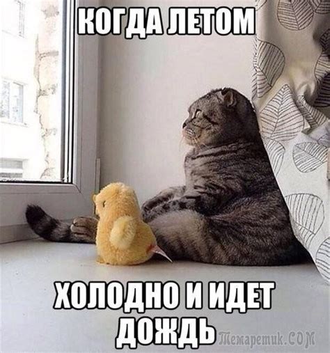 Очень веселая подборка )))