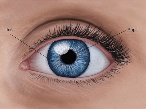 Does Double Vision After LASIK Go Away? – Eye Surgery Guide