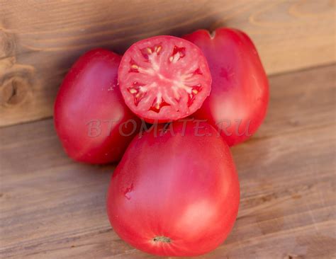 РОЗОВЫЕ ТОРБОЧКИ — BTomate