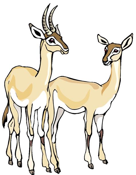 Gazelle clipart 20 free Cliparts | Download images on Clipground 2024