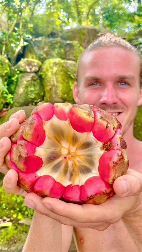 Simon & Tina | Fruit & Vegan Travel | Top 5 Weird Fruits: 5. Gac Fruit