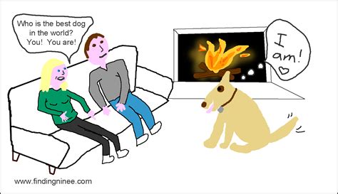 intervention finding ninee