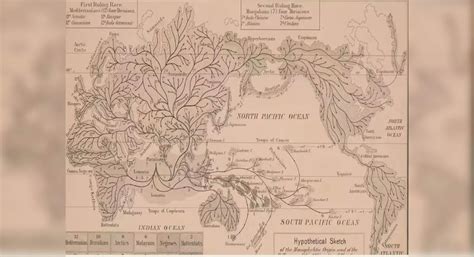 Did Lemuria, the lost continent, ever exist?, World - TimesTravel